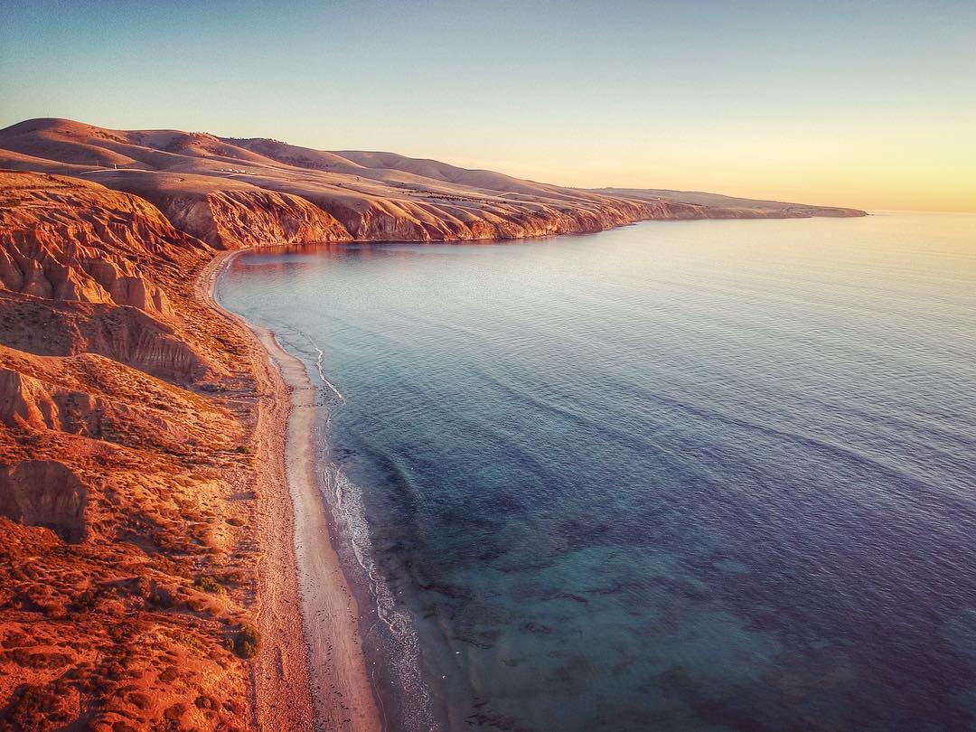 LIVE WELL | LIVE LONG: The Power of Small Choices in Health